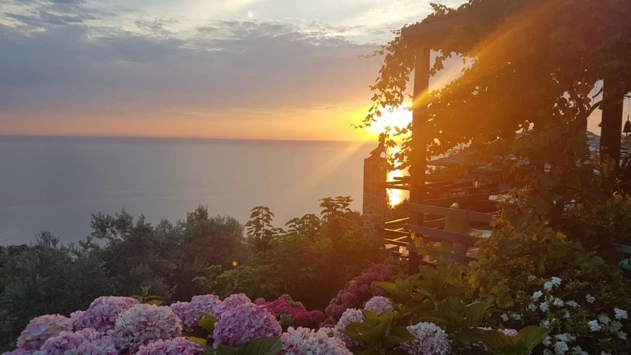 Sunriseview Suite And Gallery Zagora Dış mekan fotoğraf